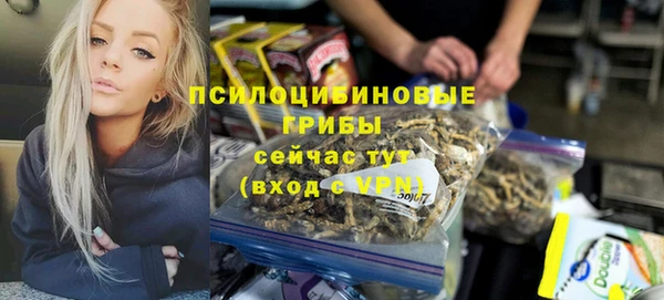 прущая мука Верея