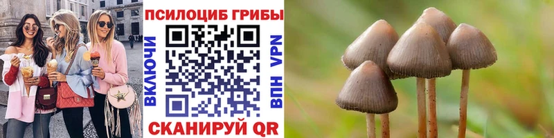 Псилоцибиновые грибы MAGIC MUSHROOMS  Заречный 